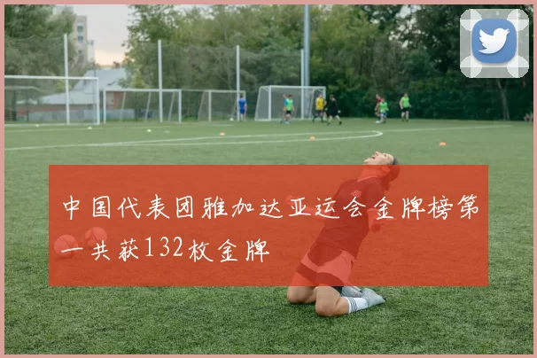 中国代表团雅加达亚运会金牌榜第一共获132枚金牌