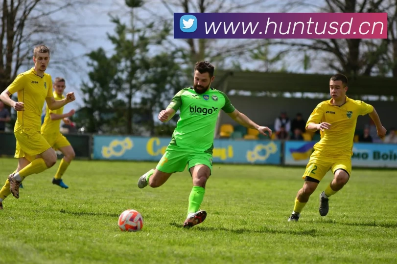 App Interface Preview